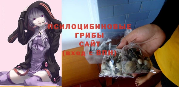ешки Абинск
