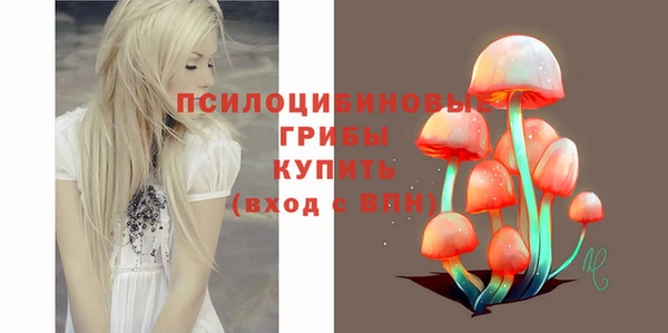 хмурый Абаза
