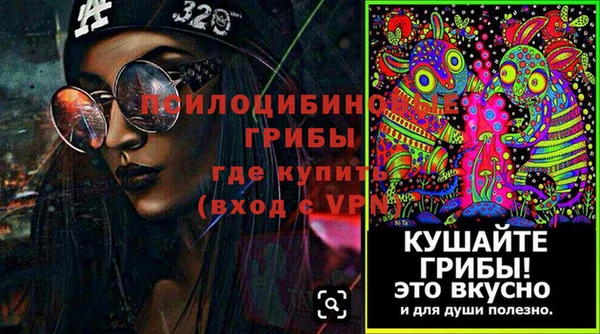 хмурый Абаза