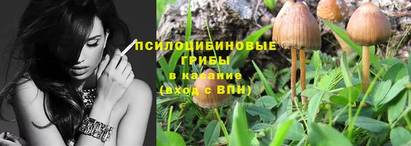 МДПВ Лагань