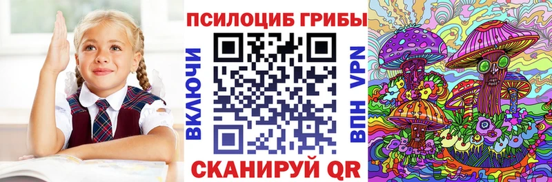 магазин продажи наркотиков Шимановск Псилоцибиновые грибы Magic Shrooms